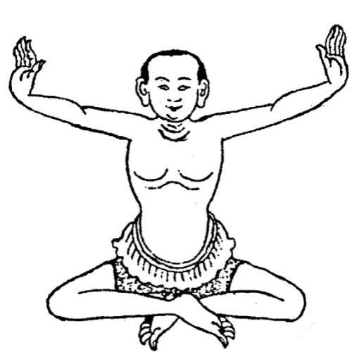 Niguma Yoga